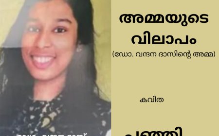 അമ്മയുടെ  വിലാപം : (Dr വന്ദന  ദാസിന്റെ അമ്മ ) :  പഞ്ഞി