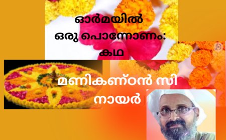 ഓർമ്മയിൽ ഒരു പൊന്നോണം: കഥ