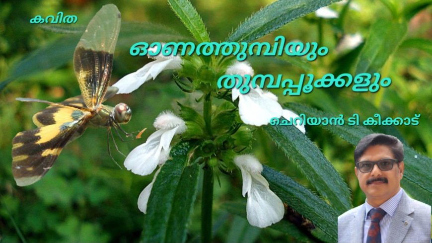 ഓണത്തുമ്പിയും തുമ്പപ്പൂക്കളും: കവിത   *