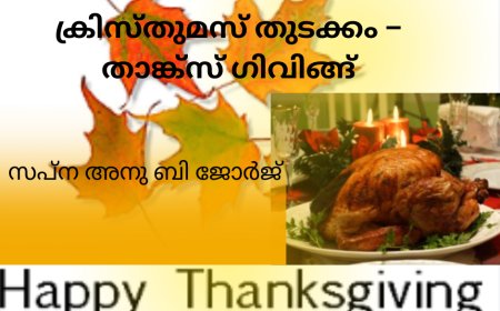 ക്രിസ്തുമസ് തുടക്കം – താങ്ക്സ് ഗിവിങ്ങ്; സപ്ന അനു ബി ജോർജ്
