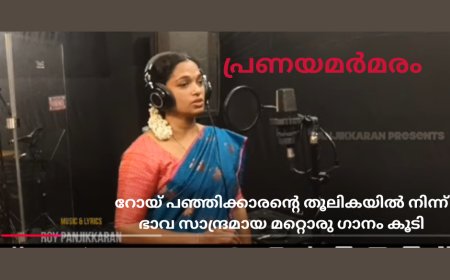 റോയ് പഞ്ഞിക്കാരന്റെ തൂലികയിൽ നിന്ന് ഭാവ സാന്ദ്രമായ മറ്റൊരു ഗാനം കൂടി- പ്രണയമർമരം