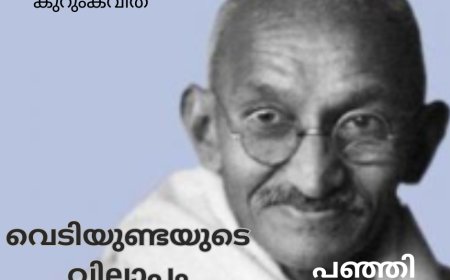 വെടിയുണ്ടയുടെ  വിലാപം; കുറുംകവിത: പഞ്ഞി