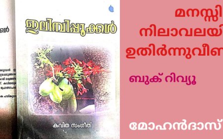 മനസ്സിലെ നിലാവലയിൽനിന്ന്   ഉതിർന്നുവീണ കഥകൾ : ബുക് റിവ്യൂ, മോഹൻദാസ്