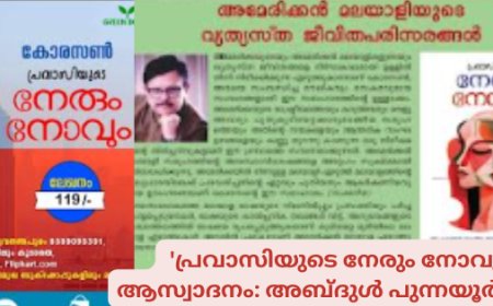 'പ്രവാസിയുടെനേരും നോവും'; ആസ്വാദനം: അബ്ദുള്‍ പുന്നയൂര്‍ക്കുളം