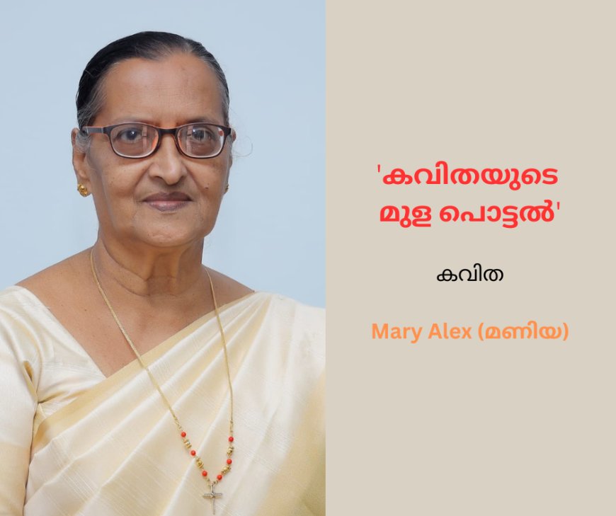 'കവിതയുടെ മുള പൊട്ടൽ ' :കവിത,  Mary Alex ( മണിയ )