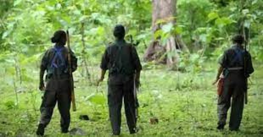ഛത്തിസ്ഗഡിൽ 50 മാവോയിസ്റ്റുകൾ സുരക്ഷാ സേനയ്ക്ക് മുൻപാകെ കീഴടങ്ങി