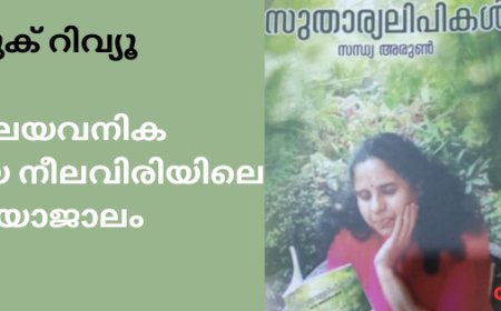 മേഘയവനിക നീർത്തിയ നീലവിരിയിലെ മായാജാലം;  ബുക് റിവ്യൂ , മോഹൻ ദാസ്
