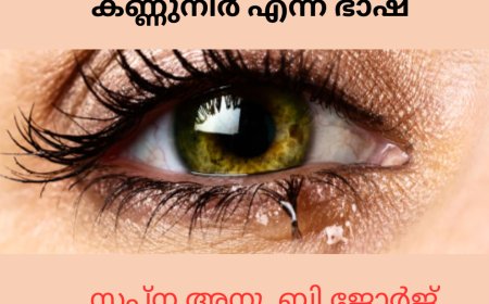 കണ്ണുനീർ എന്ന ഭാഷ ; സപ്ന അനു  ബി ജോർജ്