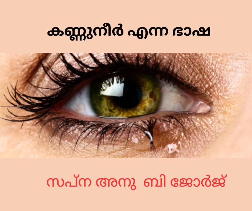കണ്ണുനീർ എന്ന ഭാഷ ; സപ്ന അനു ബി ജോർജ്