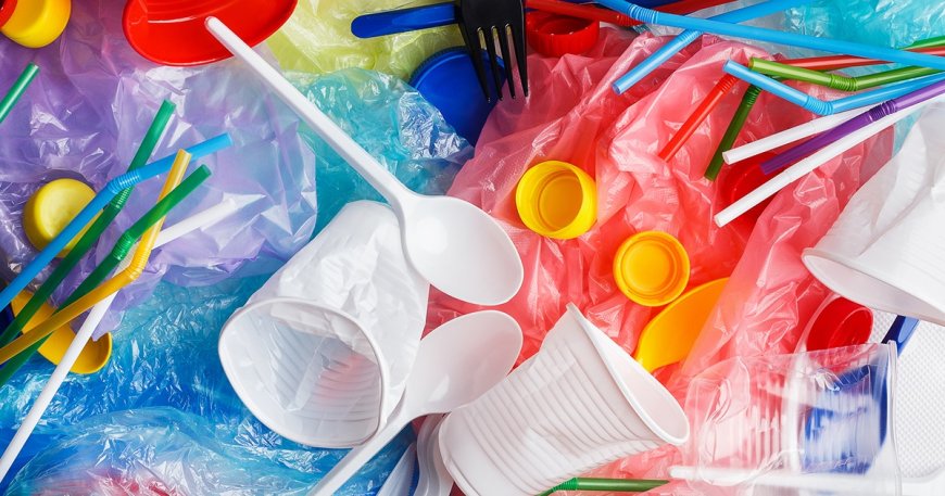 HC bans use and sale of single-use plastics from October 2