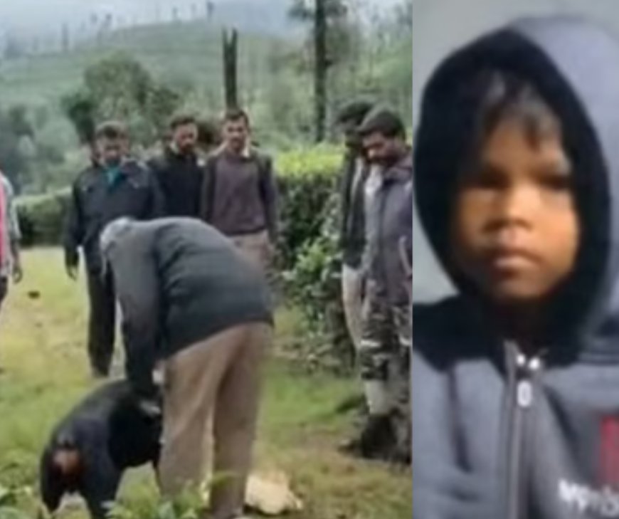 വാൽപ്പാറയിലെ പുലിയുടെ ആക്രമണം: ആറു വയസുകാരിയുടെ മൃതദേഹം കണ്ടെത്തി