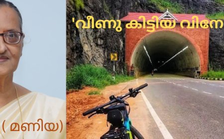 'വീണു കിട്ടിയ വിനോദ യാത്ര' - രണ്ടാം ഭാഗം
