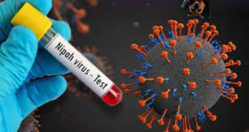 Nipah positive patient in critical condition, says minister