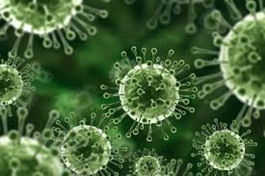 Nipah: High-risk contact patient dies in Kerala