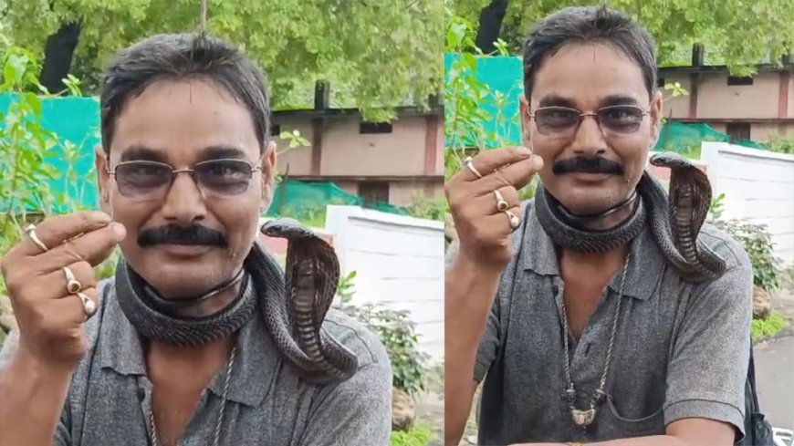 Madhya Pradesh man rides bike with cobra wrapped around neck, dies of snakebite