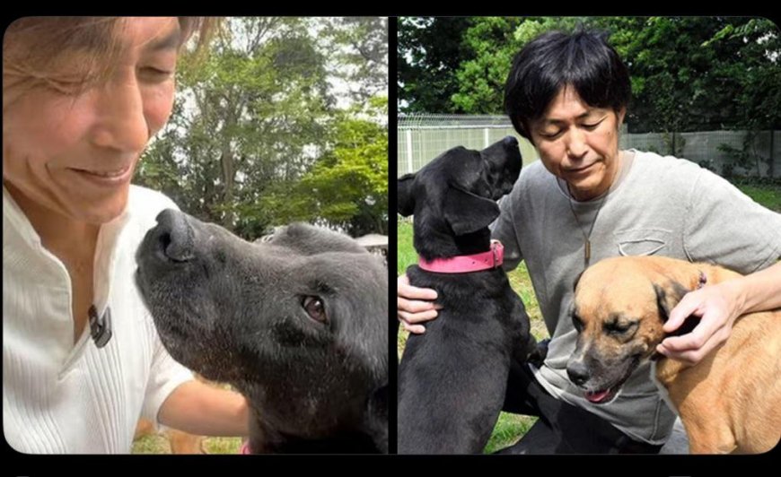 Man sells Ferrari, shuts down company to build animal shelter after his pet dog saves his life