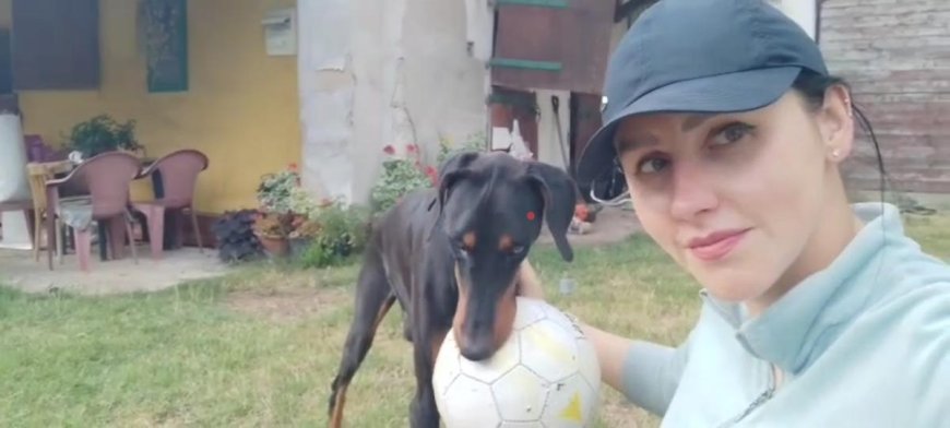 Pattu, the Doberman rescued in Chennai, finds home in Prague