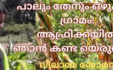 പാലും തേനും ഒഴുകുന്ന ഗ്രാമം: ആഫ്രിക്കയിൽ ഞാൻ കണ്ട യെരുശലേം:    ലീലാമ്മ തോമസ് 