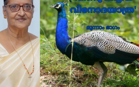 'വീണു കിട്ടിയ വിനോദയാത്ര ' Mary Alex ( മണിയ) മൂന്നാം ഭാഗം