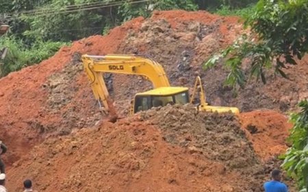 Dharmasthala mass burial case: No evidence found at 13th site after search; excavation to continue