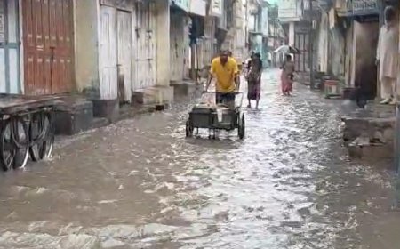 Mumbai reels under torrential rain for 4th day; waterlogging brings city to a halt