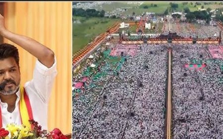Lion is always a lion: Vijay rules out alliance with DMK, BJP in 2026 polls