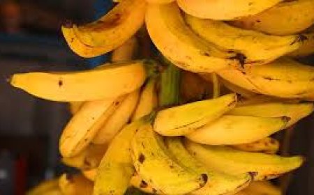 ഒരു ചെങ്ങാലിക്കോടൻ നേന്ത്രപ്പഴക്കുല ലേലത്തിൽ പോയത്  5.83 ലക്ഷം രൂപയ്ക്ക്!