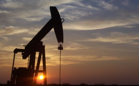 India will buy oil from where it gets 'the best deal' - envoy to Russia