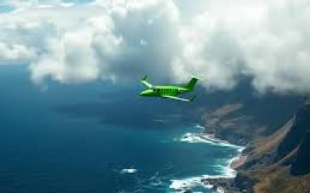 അവസാനിക്കാത്ത ദുരൂഹത ; ലോകത്തെ ഞെട്ടിച്ച് ആ വിമാനം  അപ്രത്യക്ഷമായിട്ട് 22 ദിവസം!