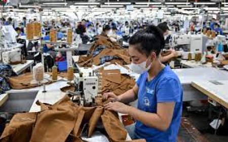 US India tariffs take effect: Which sector will be hit, what’s exempt?