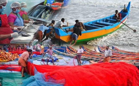 Centre launches ‘Matsya Shakthi’ to train 700 minority fisher families