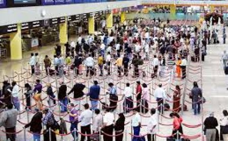 From UAE to Kerala: Why Gulf professionals are returning in record numbers