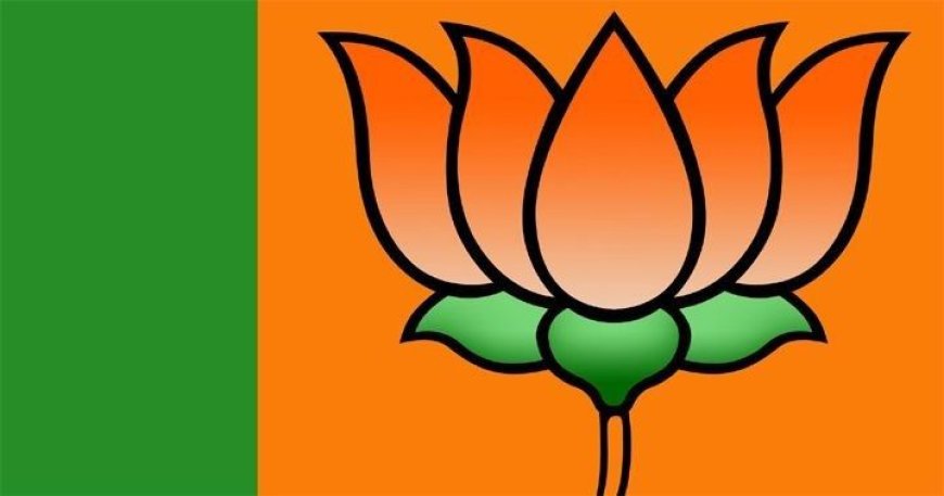 Kerala BJP forms 23-member core panel to revamp organisation