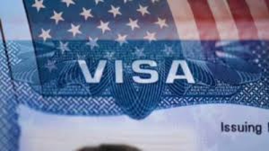 All US visa applicants must collect their passports in person: New guidelines