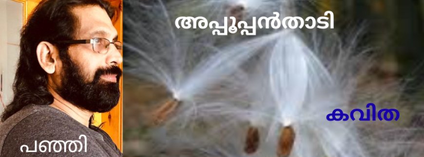 അപ്പൂപ്പൻതാടി : കവിത, റോയ് പഞ്ഞിക്കാരൻ