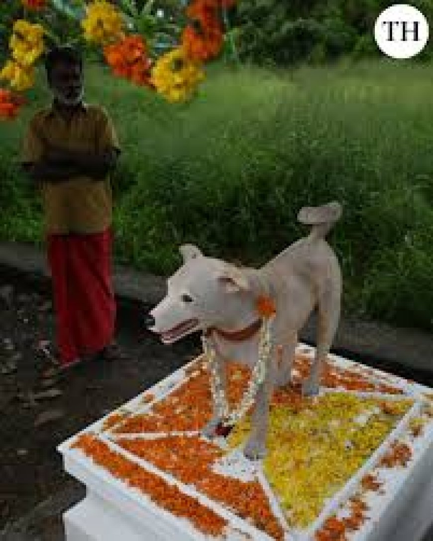 Eldho, the stray dog: Why a small Kerala  village honoured this local legend with a statue
