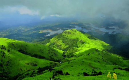New medical colleges in Wayanad and Kasaragod