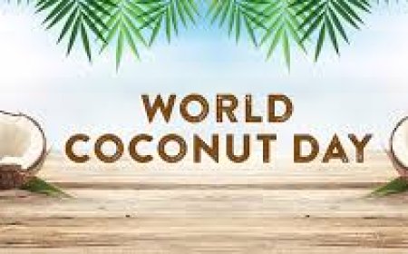 World Coconut Day: Coconut Development Board announces increased financial aid for farmers