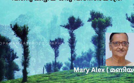 വീണു കിട്ടിയ ഒരു വിനോദയാത്ര:  Mary Alex (മണിയ)