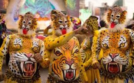 Centre sanctions Rs 24 lakh aid for Thrissur Pulikali teams