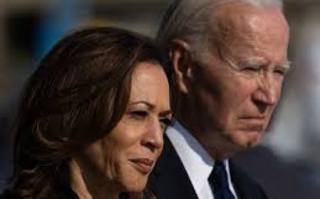 Kamala Harris calls Joe Biden's re-election bid 'recklessness'