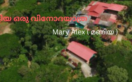 'വീണു കിട്ടിയ ഒരു വിനോദയാത്ര'; ആറാം ഭാഗം,  Mary Alex (മണിയ)
