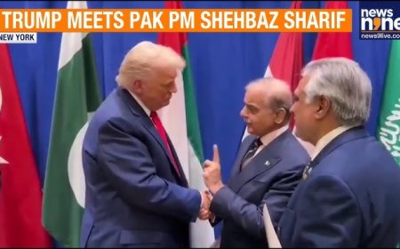 Trump meets Pak's Sharif — but White House feed says nothing