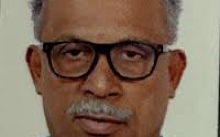 കെ.ജെ ഷൈനിനെതിരായ അപവാദപ്രചരണം; കെ.എം ഷാജഹാന് ജാമ്യം