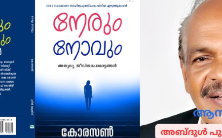 ‘നേരും നോവും' - രണ്ടാം ഭാഗം: ആസ്വാദനം;  അബ്ദുൾ പുന്നയൂർക്കുളം