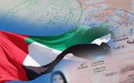 UAE introduces new visa categories including AI specialists, cruise workers and humanitarian permits