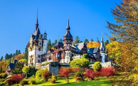 Indians can get permanent residency in Romania if they earn Rs 78,000 but there's a catch