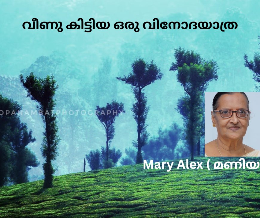 വീണു കിട്ടിയ ഒരു വിനോദയാത്ര:  Mary Alex (മണിയ)