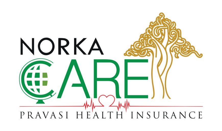 Kerala to launch ‘Norka Care’ insurance for non-residents