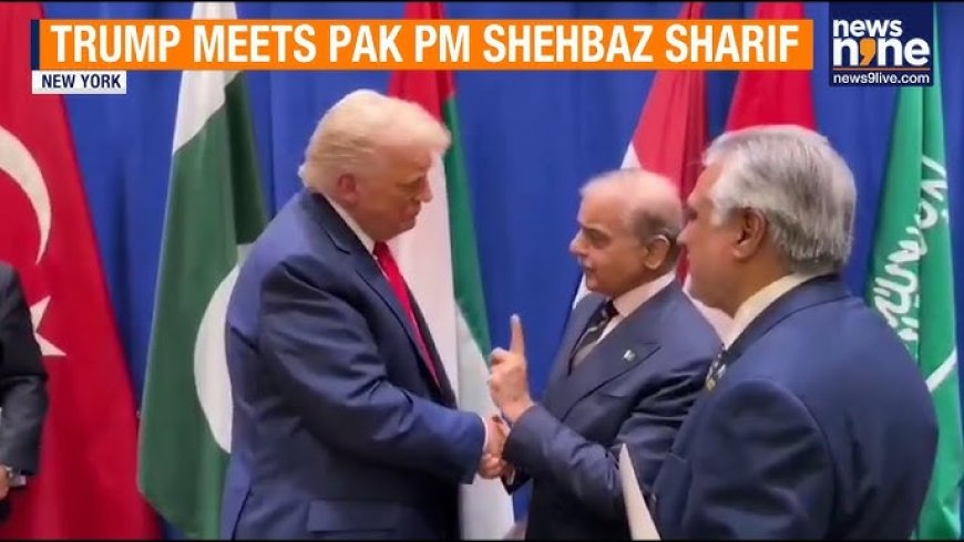 Trump meets Pak's Sharif — but White House feed says nothing